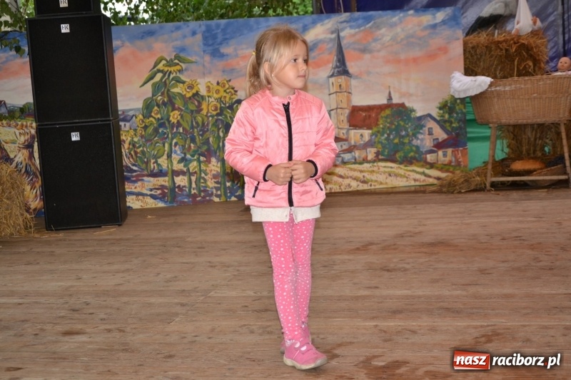 Zdjęcie w galerii na portalu naszraciborz.pl: Krzyżanowice zapraszają na dożynki. Gwiazdą Blue Party wiadomości z regionu