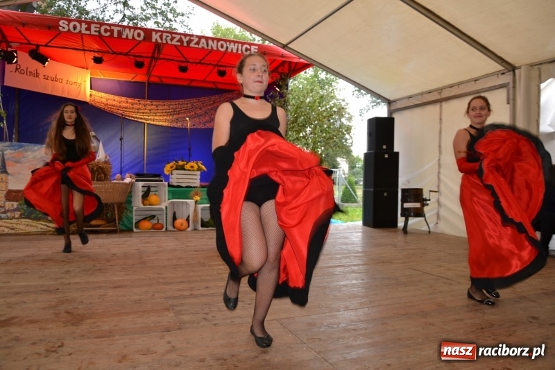 Zdjęcie w galerii na portalu naszraciborz.pl: Krzyżanowice zapraszają na dożynki. Gwiazdą Blue Party wiadomości z regionu