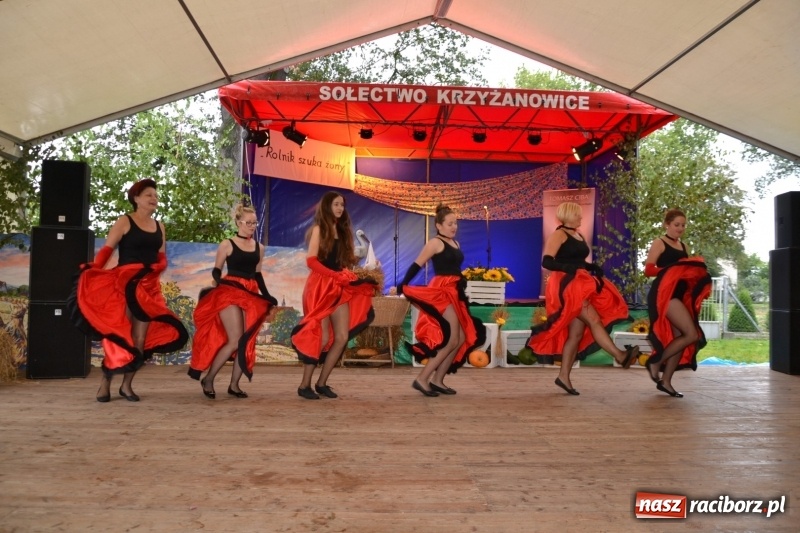 Zdjęcie w galerii na portalu naszraciborz.pl: Krzyżanowice zapraszają na dożynki. Gwiazdą Blue Party wiadomości z regionu