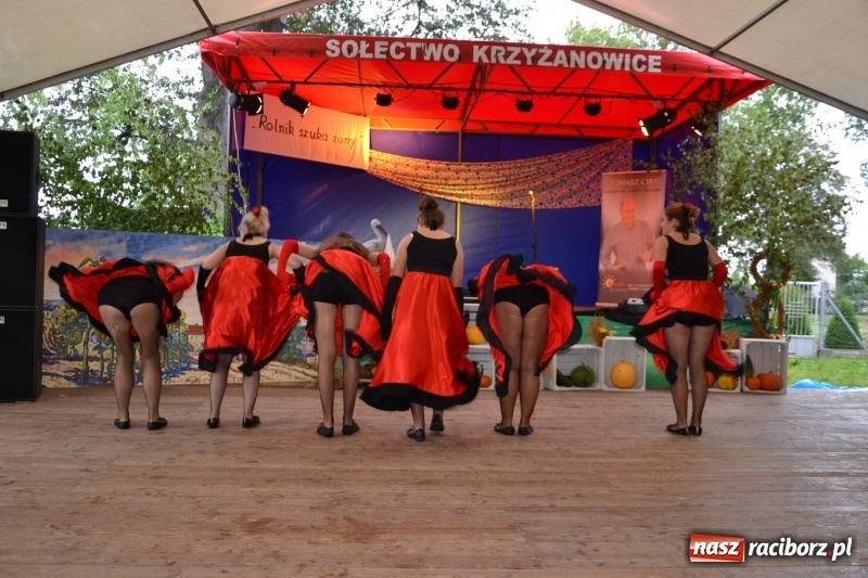 Zdjęcie w galerii na portalu naszraciborz.pl: Krzyżanowice zapraszają na dożynki. Gwiazdą Blue Party wiadomości z regionu