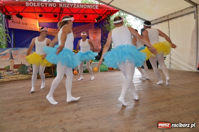 Zdjęcie w galerii na portalu naszraciborz.pl: Krzyżanowice zapraszają na dożynki. Gwiazdą Blue Party wiadomości z regionu