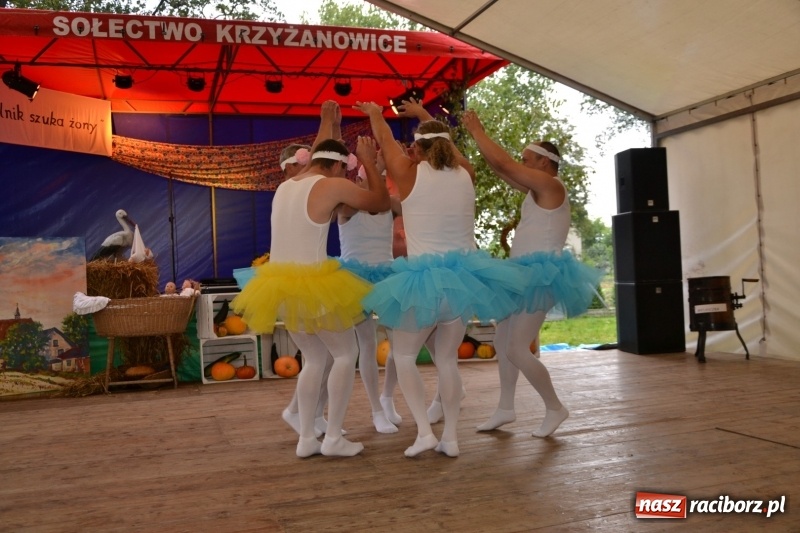 Zdjęcie w galerii na portalu naszraciborz.pl: Krzyżanowice zapraszają na dożynki. Gwiazdą Blue Party wiadomości z regionu