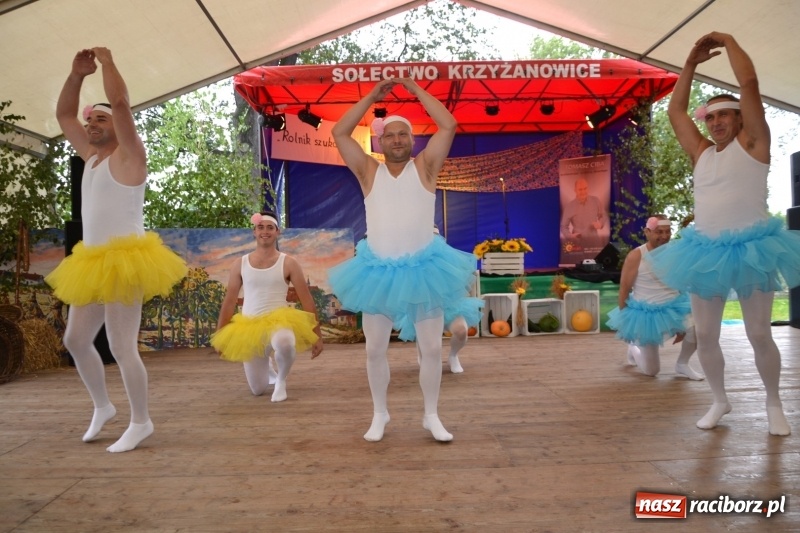 Zdjęcie w galerii na portalu naszraciborz.pl: Krzyżanowice zapraszają na dożynki. Gwiazdą Blue Party wiadomości z regionu