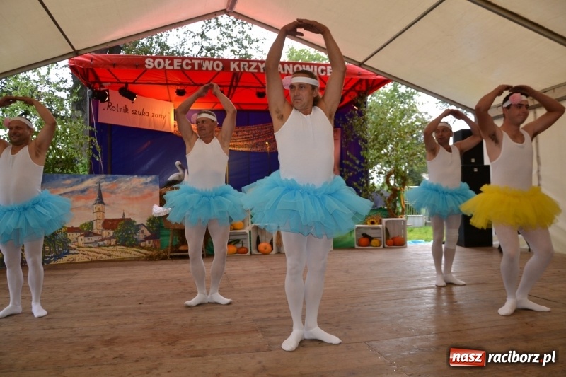 Zdjęcie w galerii na portalu naszraciborz.pl: Krzyżanowice zapraszają na dożynki. Gwiazdą Blue Party wiadomości z regionu