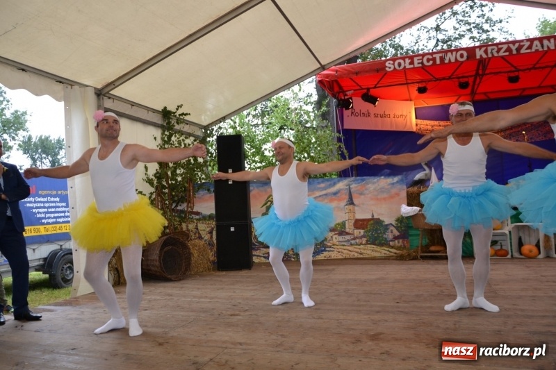 Zdjęcie w galerii na portalu naszraciborz.pl: Krzyżanowice zapraszają na dożynki. Gwiazdą Blue Party wiadomości z regionu