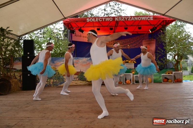 Zdjęcie w galerii na portalu naszraciborz.pl: Krzyżanowice zapraszają na dożynki. Gwiazdą Blue Party wiadomości z regionu