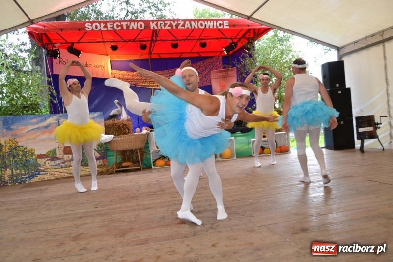 Zdjęcie w galerii na portalu naszraciborz.pl: Krzyżanowice zapraszają na dożynki. Gwiazdą Blue Party wiadomości z regionu