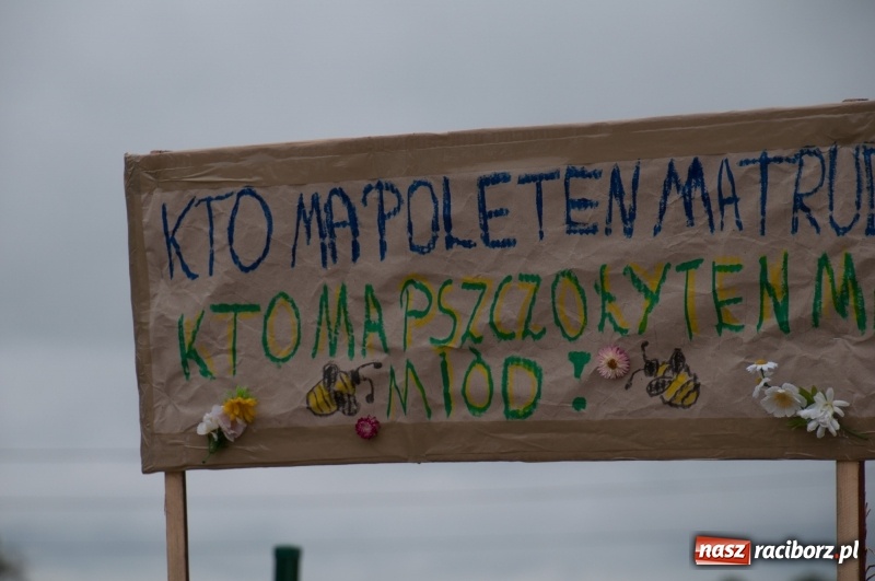 Zdjęcie w galerii na portalu naszraciborz.pl: Marcin Daniec gwiazdą dożynek i dziesięciolecia LKS w Raszczycach wiadomości z regionu