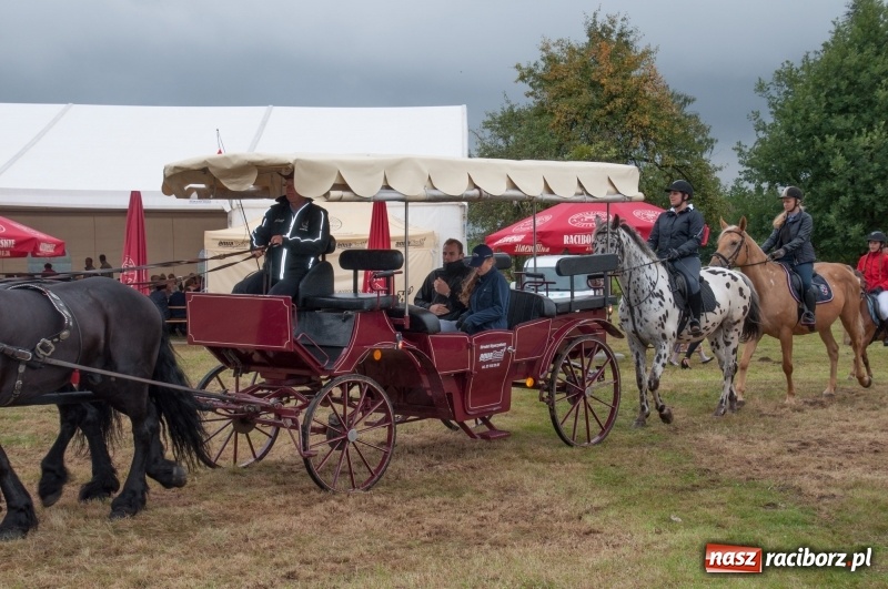 Zdjęcie w galerii na portalu naszraciborz.pl: Marcin Daniec gwiazdą dożynek i dziesięciolecia LKS w Raszczycach wiadomości z regionu