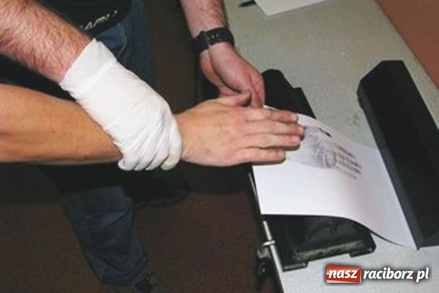 Zdjęcie w galerii na portalu naszraciborz.pl: Diler z Głubczyc zatrzymany wiadomości z regionu