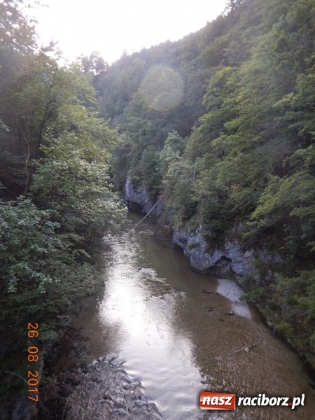 Zdjęcie w galerii na portalu naszraciborz.pl: Wyjazd w Alpy nagrodą za udział w raciborskiej licytacji podczas finału WOŚP wiadomości z regionu