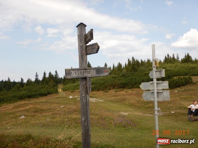 Zdjęcie w galerii na portalu naszraciborz.pl: Wyjazd w Alpy nagrodą za udział w raciborskiej licytacji podczas finału WOŚP wiadomości z regionu