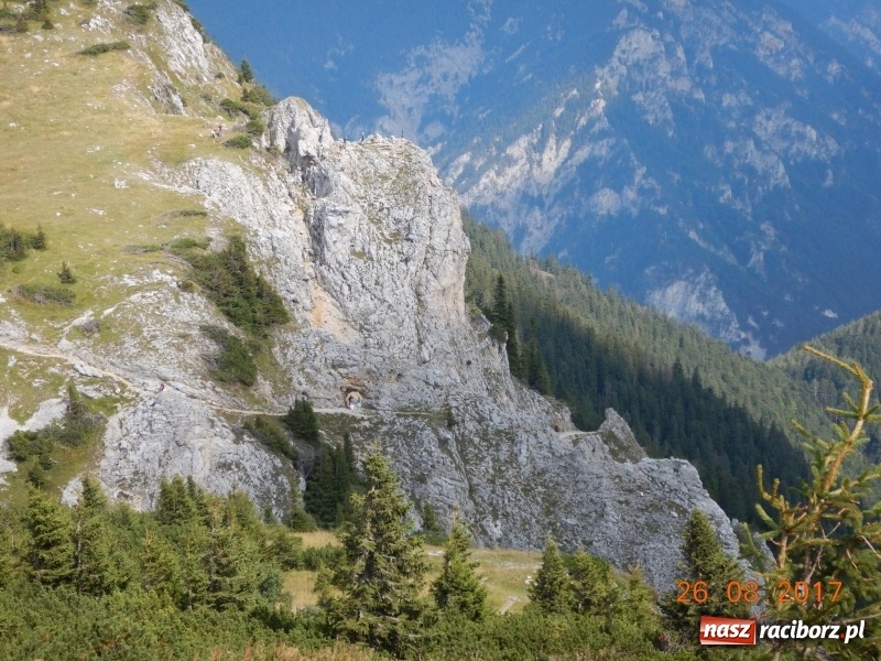 Zdjęcie w galerii na portalu naszraciborz.pl: Wyjazd w Alpy nagrodą za udział w raciborskiej licytacji podczas finału WOŚP wiadomości z regionu