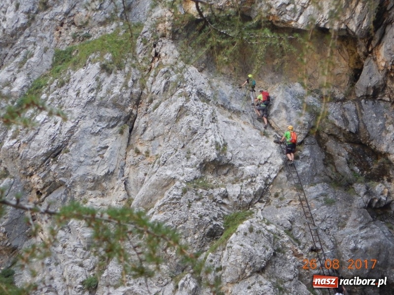 Zdjęcie w galerii na portalu naszraciborz.pl: Wyjazd w Alpy nagrodą za udział w raciborskiej licytacji podczas finału WOŚP wiadomości z regionu