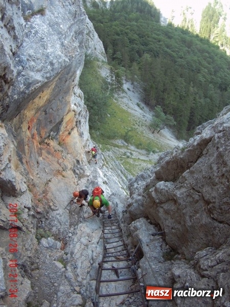 Zdjęcie w galerii na portalu naszraciborz.pl: Wyjazd w Alpy nagrodą za udział w raciborskiej licytacji podczas finału WOŚP wiadomości z regionu