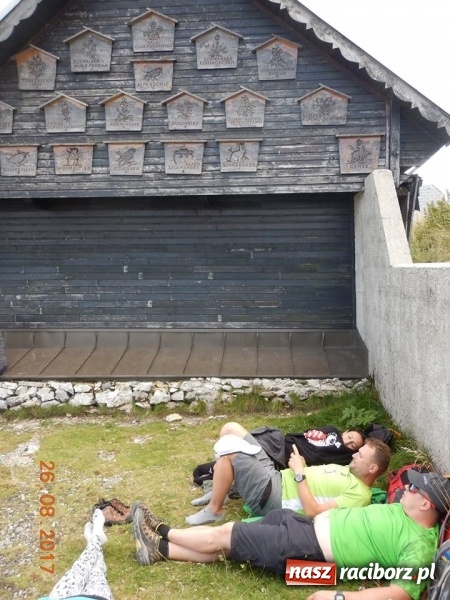 Zdjęcie w galerii na portalu naszraciborz.pl: Wyjazd w Alpy nagrodą za udział w raciborskiej licytacji podczas finału WOŚP wiadomości z regionu