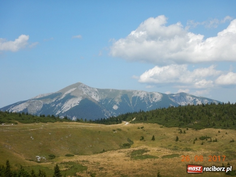 Zdjęcie w galerii na portalu naszraciborz.pl: Wyjazd w Alpy nagrodą za udział w raciborskiej licytacji podczas finału WOŚP wiadomości z regionu
