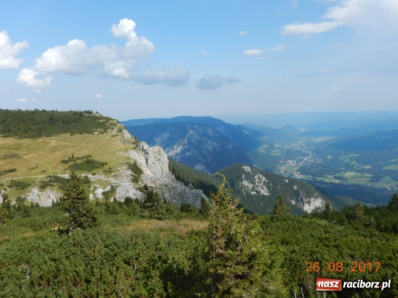 Zdjęcie w galerii na portalu naszraciborz.pl: Wyjazd w Alpy nagrodą za udział w raciborskiej licytacji podczas finału WOŚP wiadomości z regionu