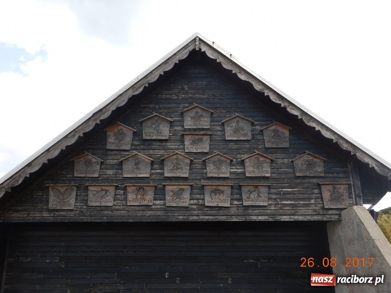 Zdjęcie w galerii na portalu naszraciborz.pl: Wyjazd w Alpy nagrodą za udział w raciborskiej licytacji podczas finału WOŚP wiadomości z regionu