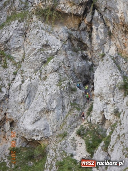 Zdjęcie w galerii na portalu naszraciborz.pl: Wyjazd w Alpy nagrodą za udział w raciborskiej licytacji podczas finału WOŚP wiadomości z regionu