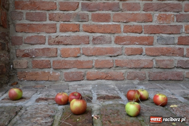 Zdjęcie w galerii na portalu naszraciborz.pl: I AM – Jestem - finał działań artystycznych podsumowano na Zamku Piastowskim wiadomości z regionu