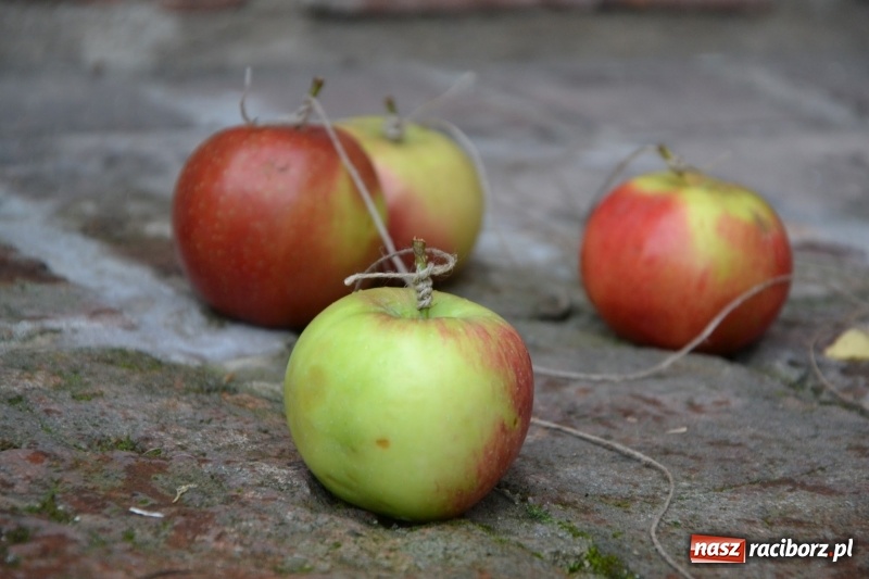 Zdjęcie w galerii na portalu naszraciborz.pl: I AM – Jestem - finał działań artystycznych podsumowano na Zamku Piastowskim wiadomości z regionu