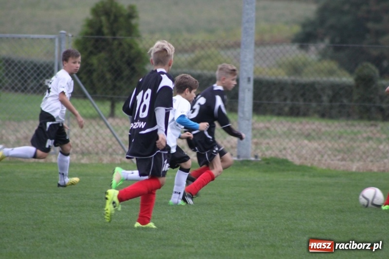 Zdjęcie w galerii na portalu naszraciborz.pl: KS Naprzód Borucin pokonał TS Górnik Pszów  wiadomości z regionu