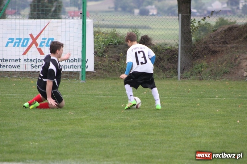 Zdjęcie w galerii na portalu naszraciborz.pl: KS Naprzód Borucin pokonał TS Górnik Pszów  wiadomości z regionu