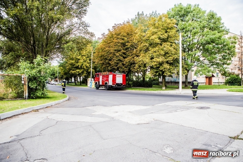 Zdjęcie w galerii na portalu naszraciborz.pl: 600 zł mandatu dla kierowcy cysterny, która wczoraj gubiła olej napędowy wiadomości z regionu