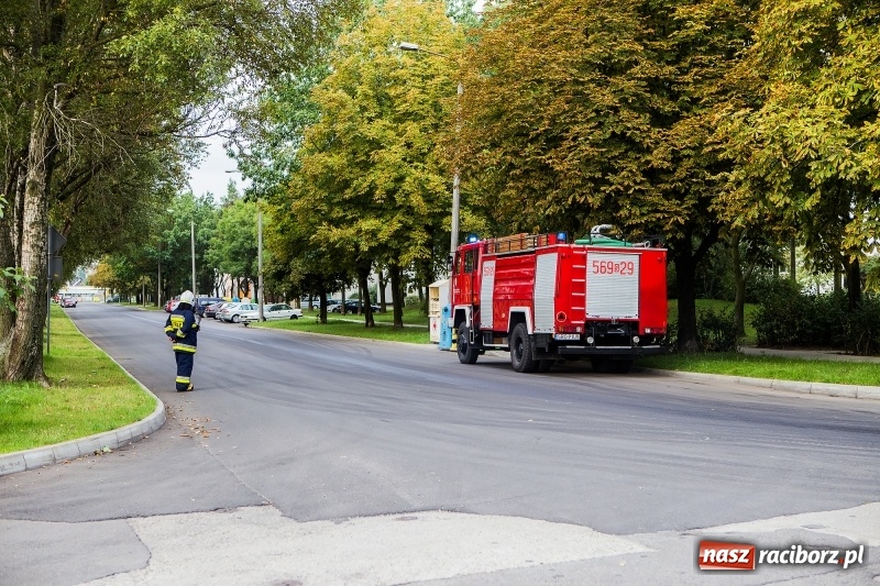 Zdjęcie w galerii na portalu naszraciborz.pl: 600 zł mandatu dla kierowcy cysterny, która wczoraj gubiła olej napędowy wiadomości z regionu