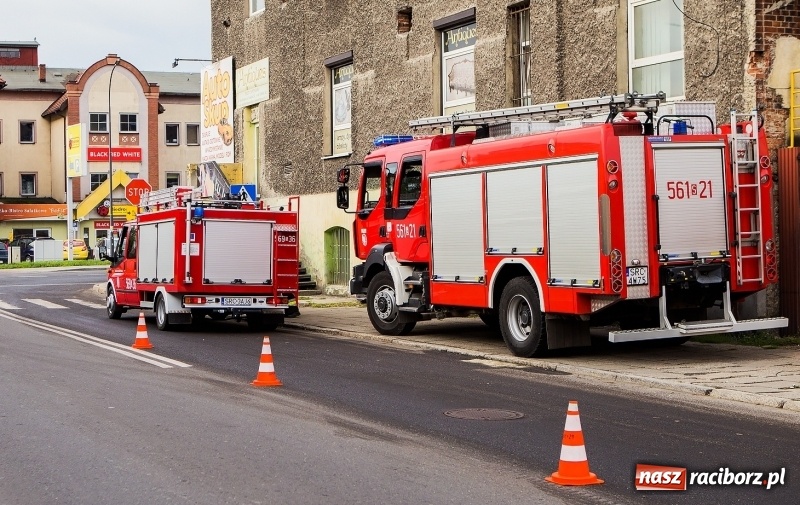 Zdjęcie w galerii na portalu naszraciborz.pl: Rozlany olej napędowy zaczyna się w miejscu tej blachy pozostawionej na DW 919  wiadomości z regionu