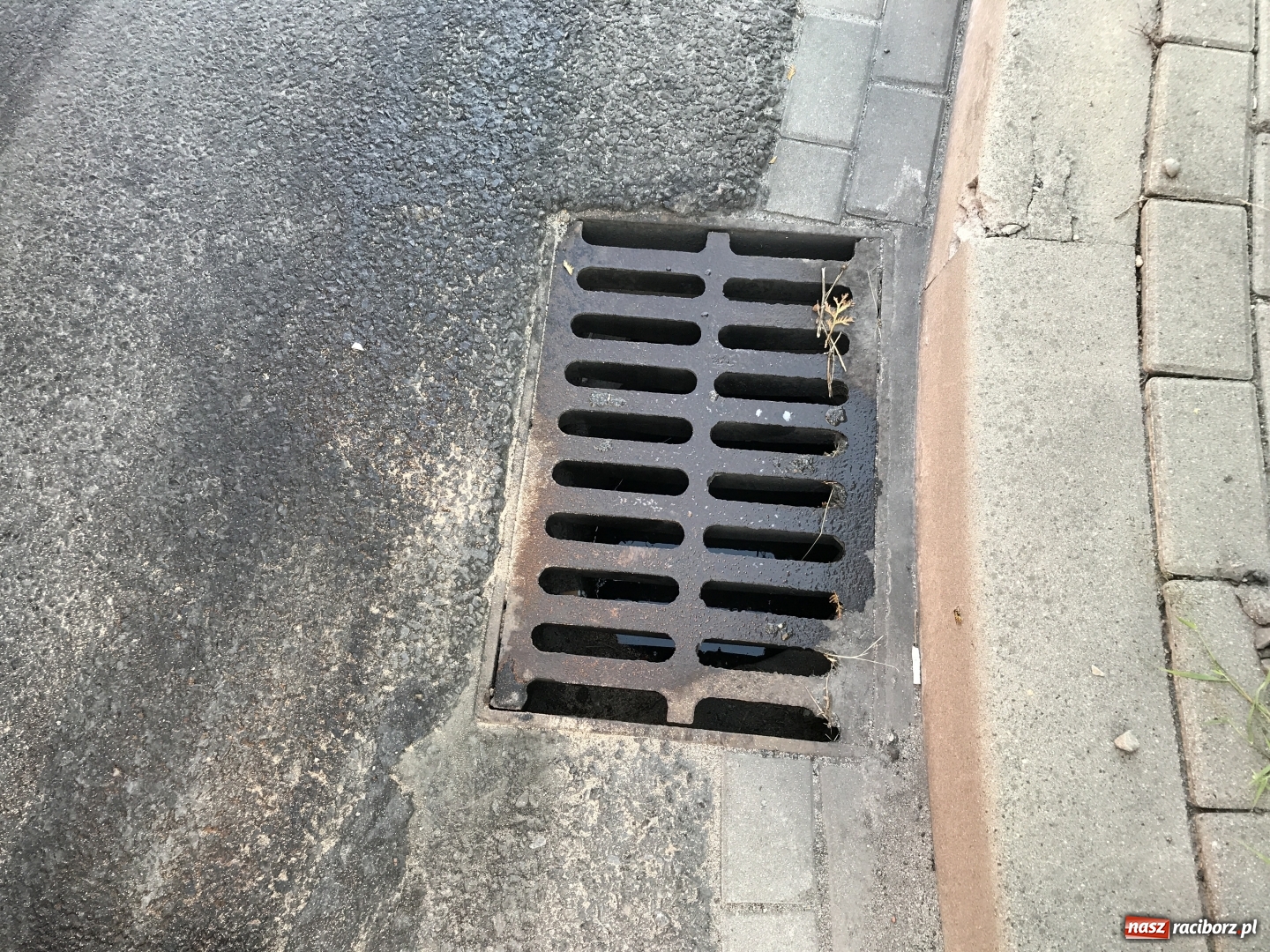 Zdjęcie w galerii na portalu naszraciborz.pl: Ciężarówka zgubiła bak na 1 Maja. Na jezdnię wylało się 700 litrów oleju napędowego  wiadomości z regionu