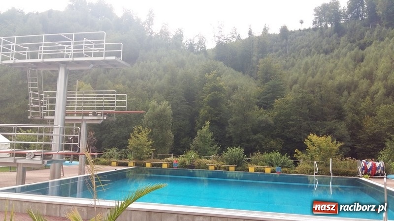 Zdjęcie w galerii na portalu naszraciborz.pl: Pływacy z Raciborza z sukcesami na zawodach pływackich w Werdohl wiadomości z regionu