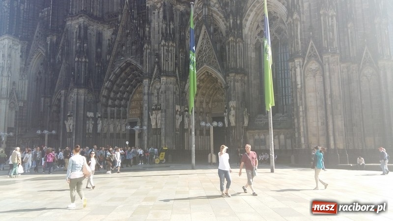 Zdjęcie w galerii na portalu naszraciborz.pl: Pływacy z Raciborza z sukcesami na zawodach pływackich w Werdohl wiadomości z regionu