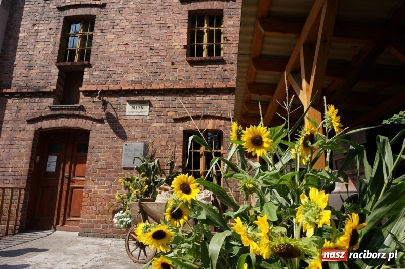 Zdjęcie w galerii na portalu naszraciborz.pl: Podróż studyjna dziennikarzy i przedstawicieli branży turystycznej po ziemi raciborskiej  wiadomości z regionu