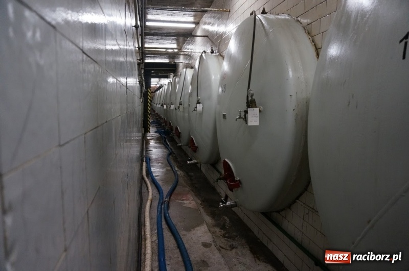 Zdjęcie w galerii na portalu naszraciborz.pl: Podróż studyjna dziennikarzy i przedstawicieli branży turystycznej po ziemi raciborskiej  wiadomości z regionu