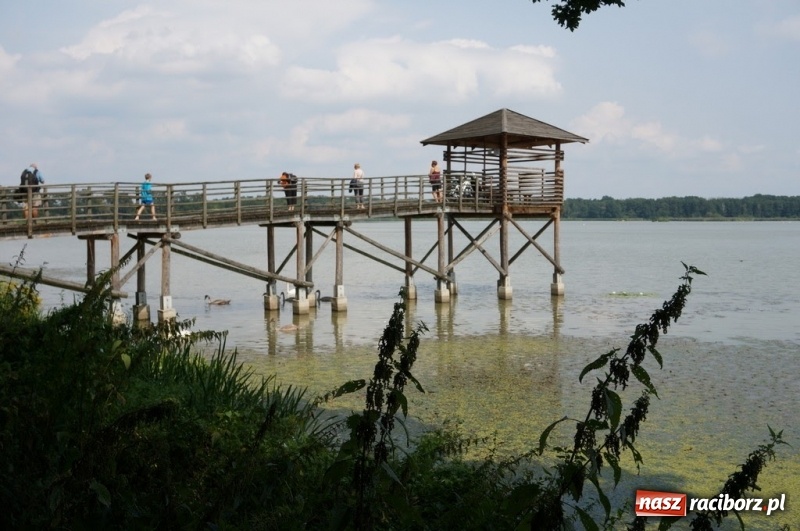 Zdjęcie w galerii na portalu naszraciborz.pl: Podróż studyjna dziennikarzy i przedstawicieli branży turystycznej po ziemi raciborskiej  wiadomości z regionu