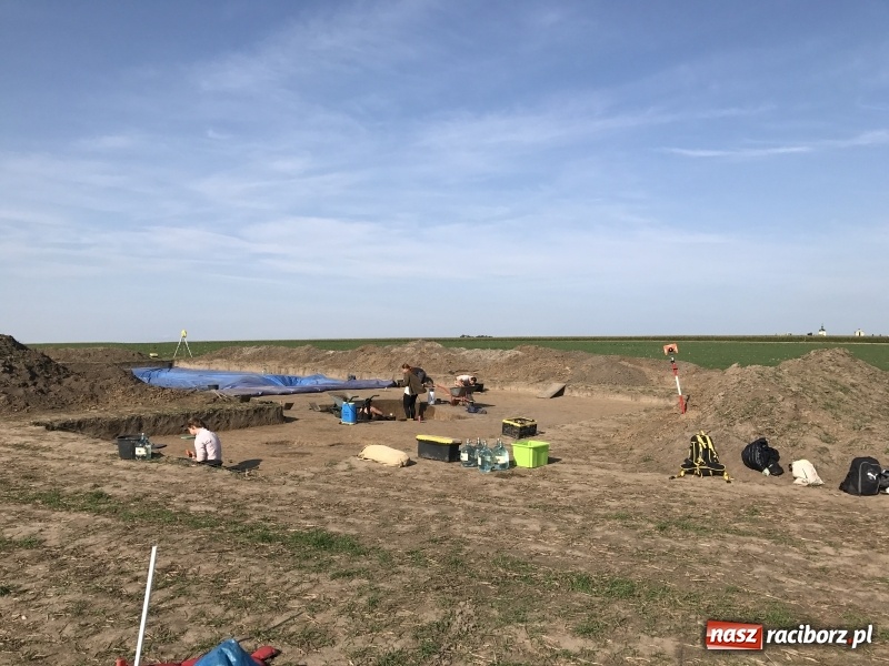 Zdjęcie w galerii na portalu naszraciborz.pl: Samborowice - celtycka wieś na Bursztynowym Szlaku. W tym roku doszło do ciekawych odkryć wiadomości z regionu