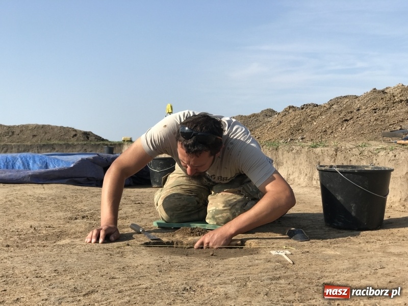 Zdjęcie w galerii na portalu naszraciborz.pl: Samborowice - celtycka wieś na Bursztynowym Szlaku. W tym roku doszło do ciekawych odkryć wiadomości z regionu