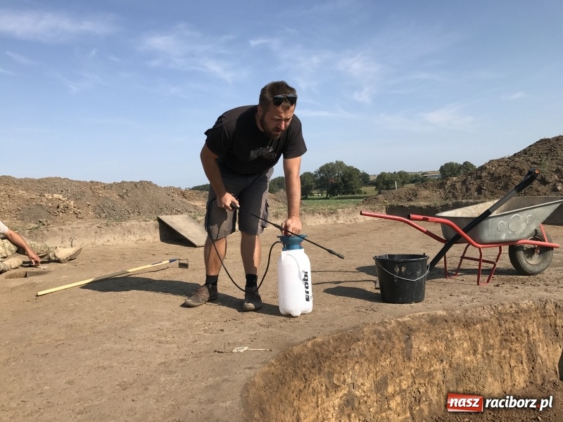 Zdjęcie w galerii na portalu naszraciborz.pl: Samborowice - celtycka wieś na Bursztynowym Szlaku. W tym roku doszło do ciekawych odkryć wiadomości z regionu