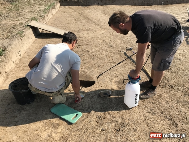 Zdjęcie w galerii na portalu naszraciborz.pl: Samborowice - celtycka wieś na Bursztynowym Szlaku. W tym roku doszło do ciekawych odkryć wiadomości z regionu