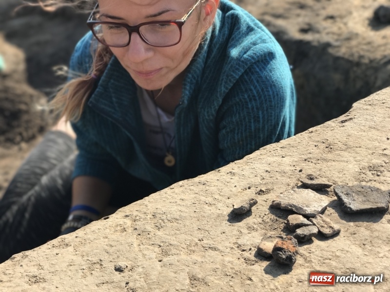 Zdjęcie w galerii na portalu naszraciborz.pl: Samborowice - celtycka wieś na Bursztynowym Szlaku. W tym roku doszło do ciekawych odkryć wiadomości z regionu