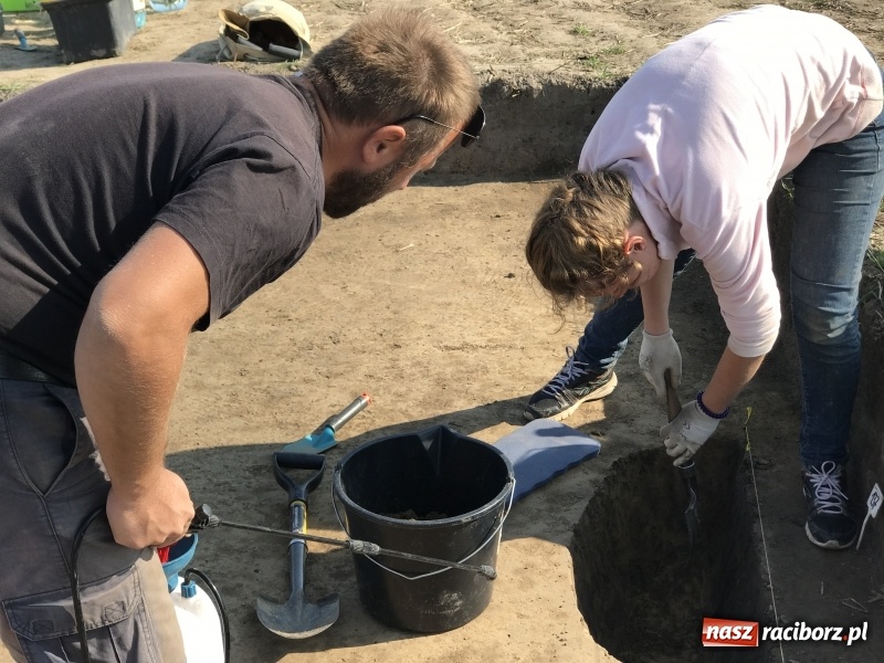 Zdjęcie w galerii na portalu naszraciborz.pl: Samborowice - celtycka wieś na Bursztynowym Szlaku. W tym roku doszło do ciekawych odkryć wiadomości z regionu