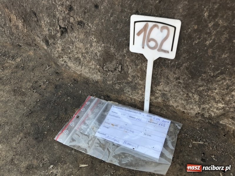 Zdjęcie w galerii na portalu naszraciborz.pl: Samborowice - celtycka wieś na Bursztynowym Szlaku. W tym roku doszło do ciekawych odkryć wiadomości z regionu