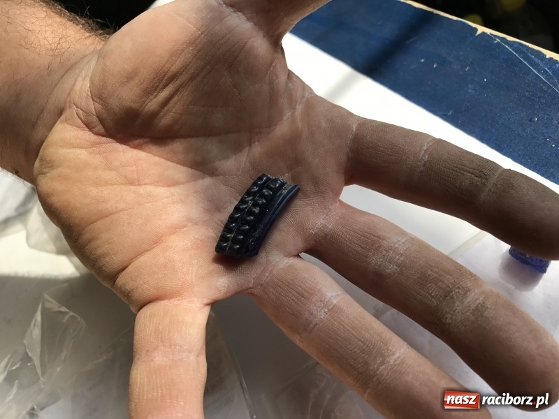 Zdjęcie w galerii na portalu naszraciborz.pl: Samborowice - celtycka wieś na Bursztynowym Szlaku. W tym roku doszło do ciekawych odkryć wiadomości z regionu