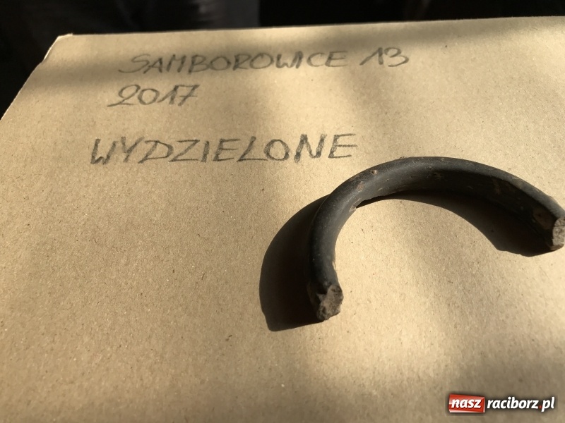 Zdjęcie w galerii na portalu naszraciborz.pl: Samborowice - celtycka wieś na Bursztynowym Szlaku. W tym roku doszło do ciekawych odkryć wiadomości z regionu