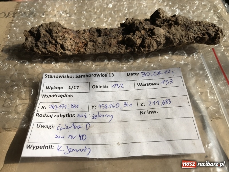 Zdjęcie w galerii na portalu naszraciborz.pl: Samborowice - celtycka wieś na Bursztynowym Szlaku. W tym roku doszło do ciekawych odkryć wiadomości z regionu