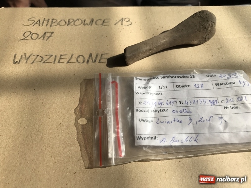 Zdjęcie w galerii na portalu naszraciborz.pl: Samborowice - celtycka wieś na Bursztynowym Szlaku. W tym roku doszło do ciekawych odkryć wiadomości z regionu