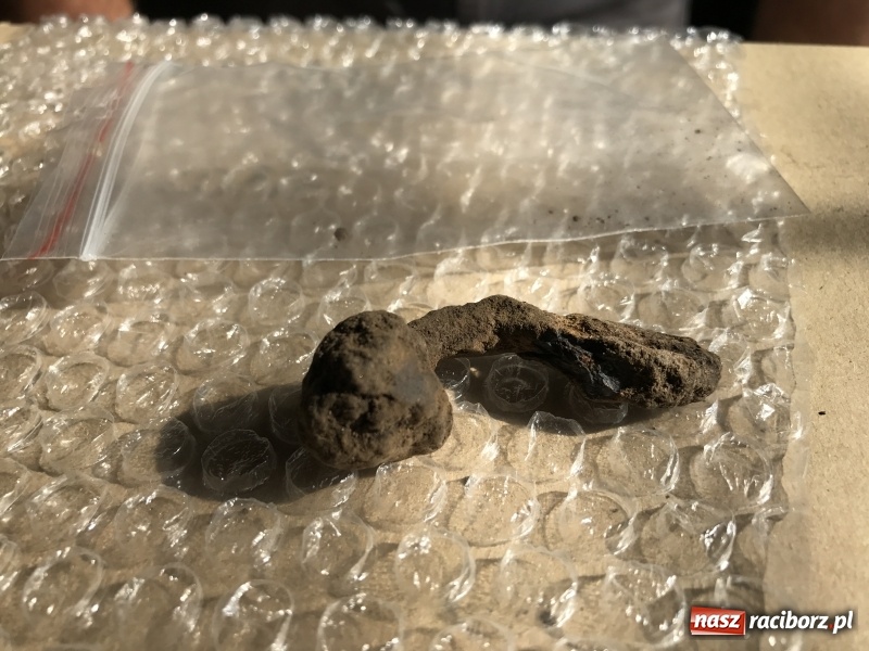 Zdjęcie w galerii na portalu naszraciborz.pl: Samborowice - celtycka wieś na Bursztynowym Szlaku. W tym roku doszło do ciekawych odkryć wiadomości z regionu