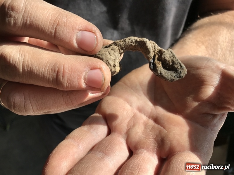 Zdjęcie w galerii na portalu naszraciborz.pl: Samborowice - celtycka wieś na Bursztynowym Szlaku. W tym roku doszło do ciekawych odkryć wiadomości z regionu